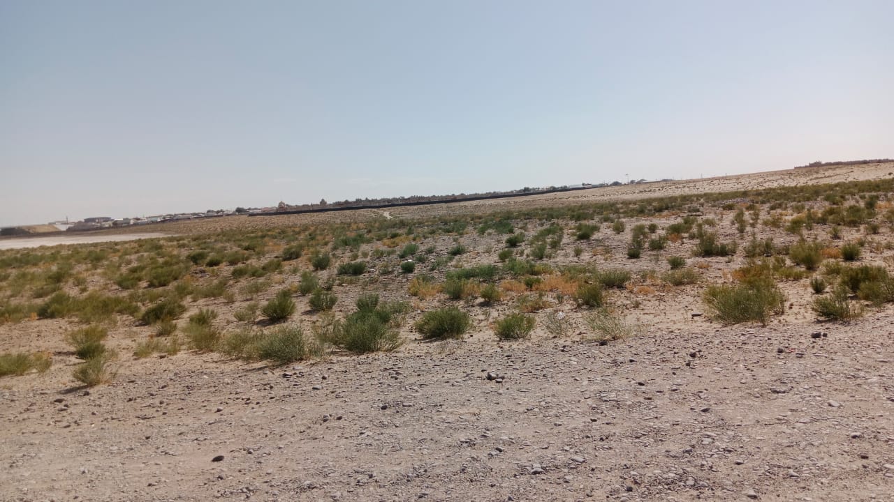 img-2
