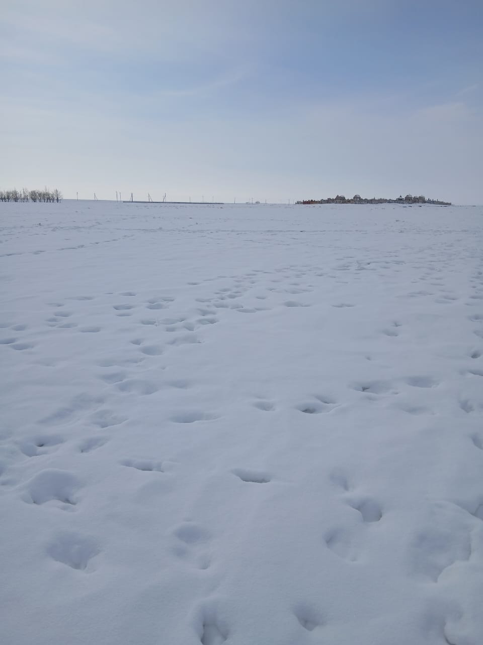 img-1