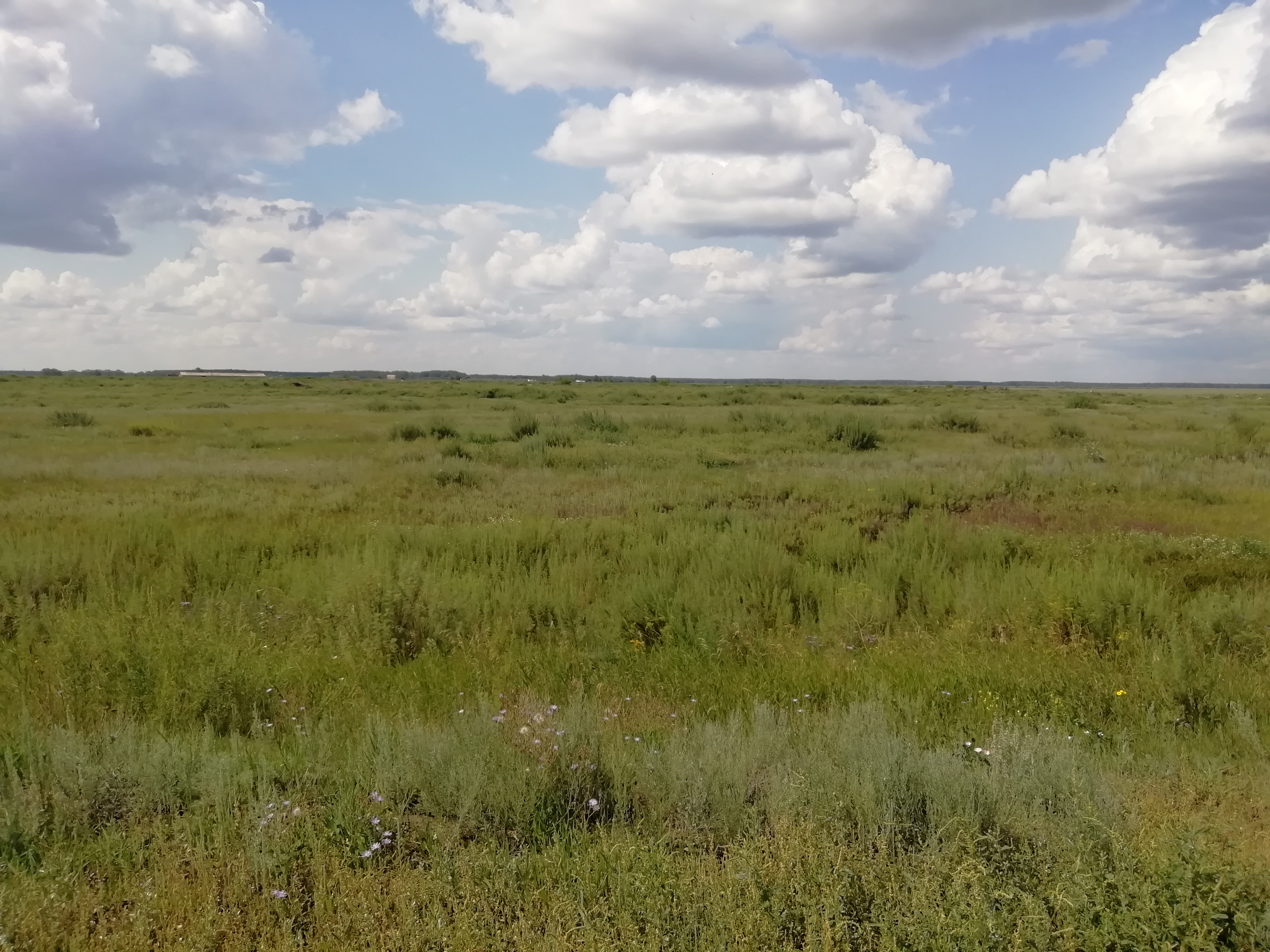 img-0