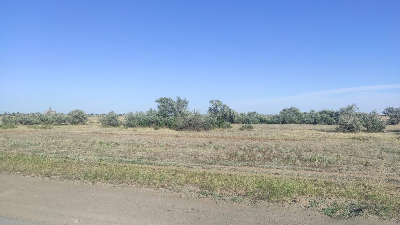 img-4