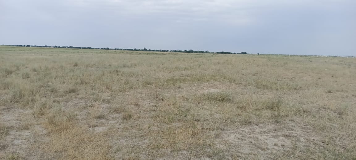 img-0