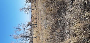 img-1