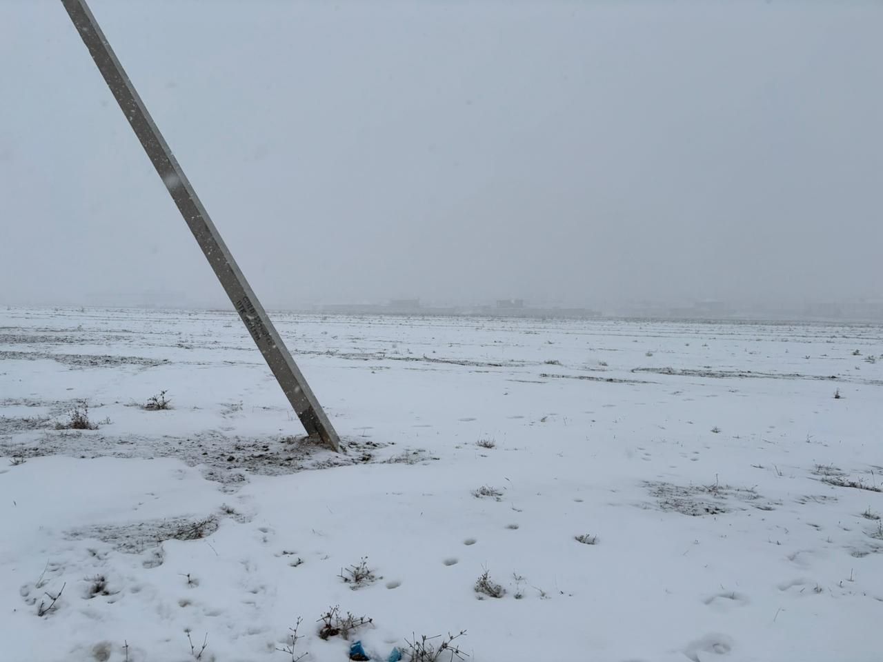 img-2