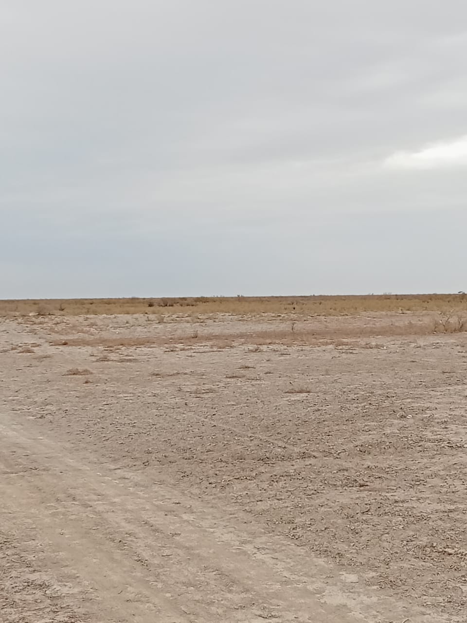 img-3