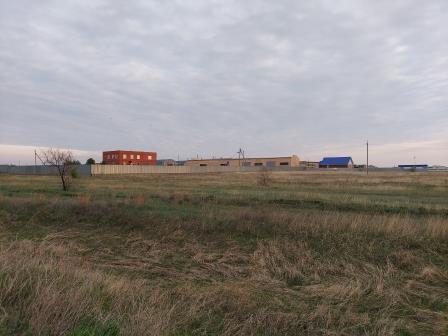 img-2