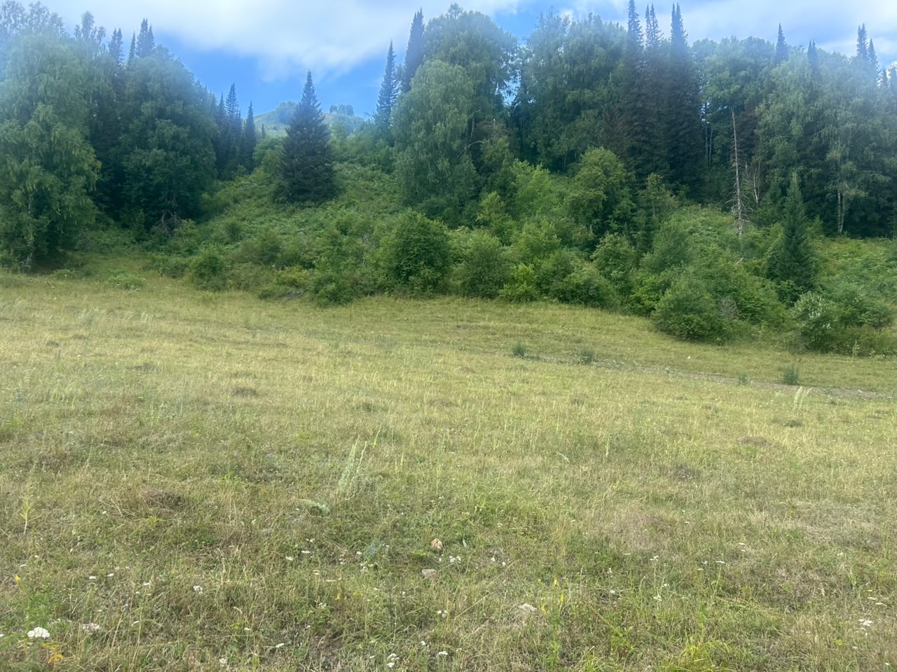 img-1