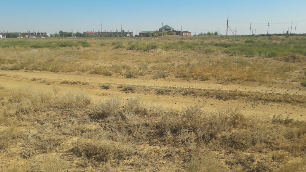 img-2