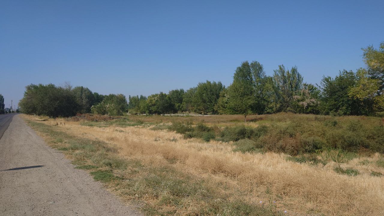img-4