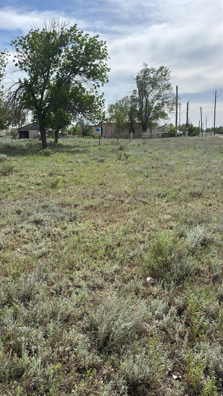 img-0