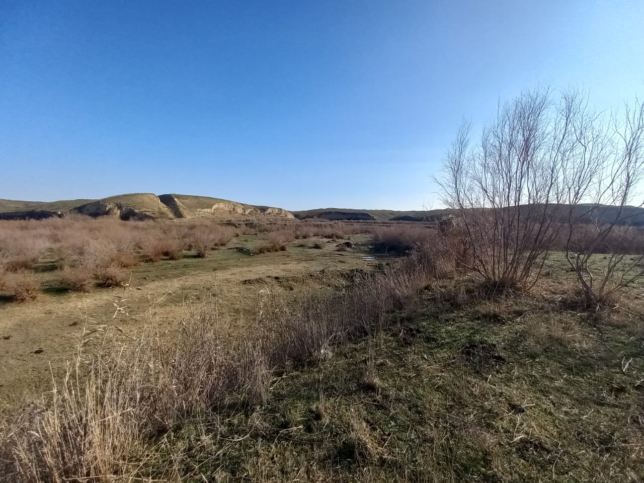 img-1
