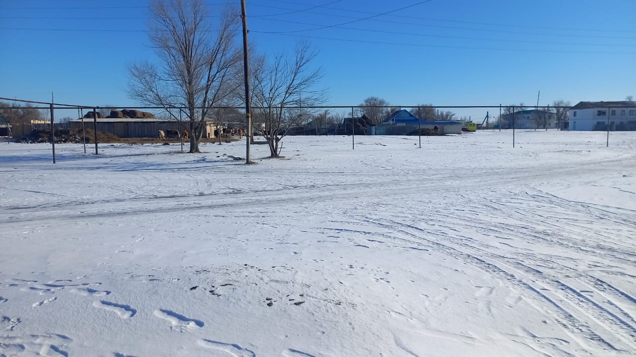 img-2