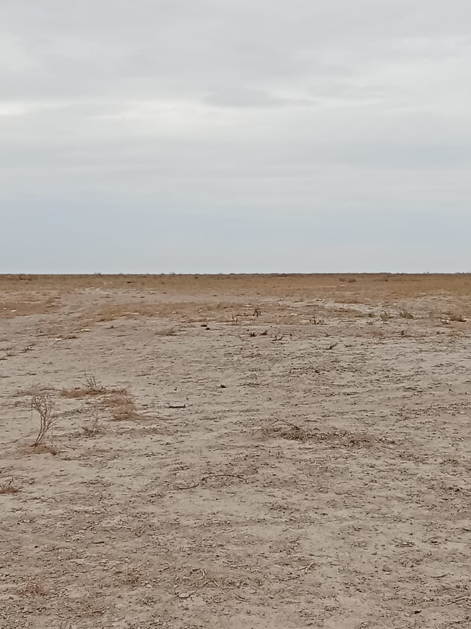 img-4