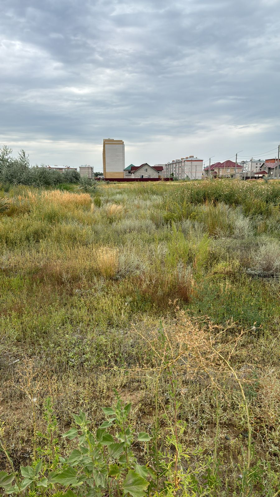 img-1