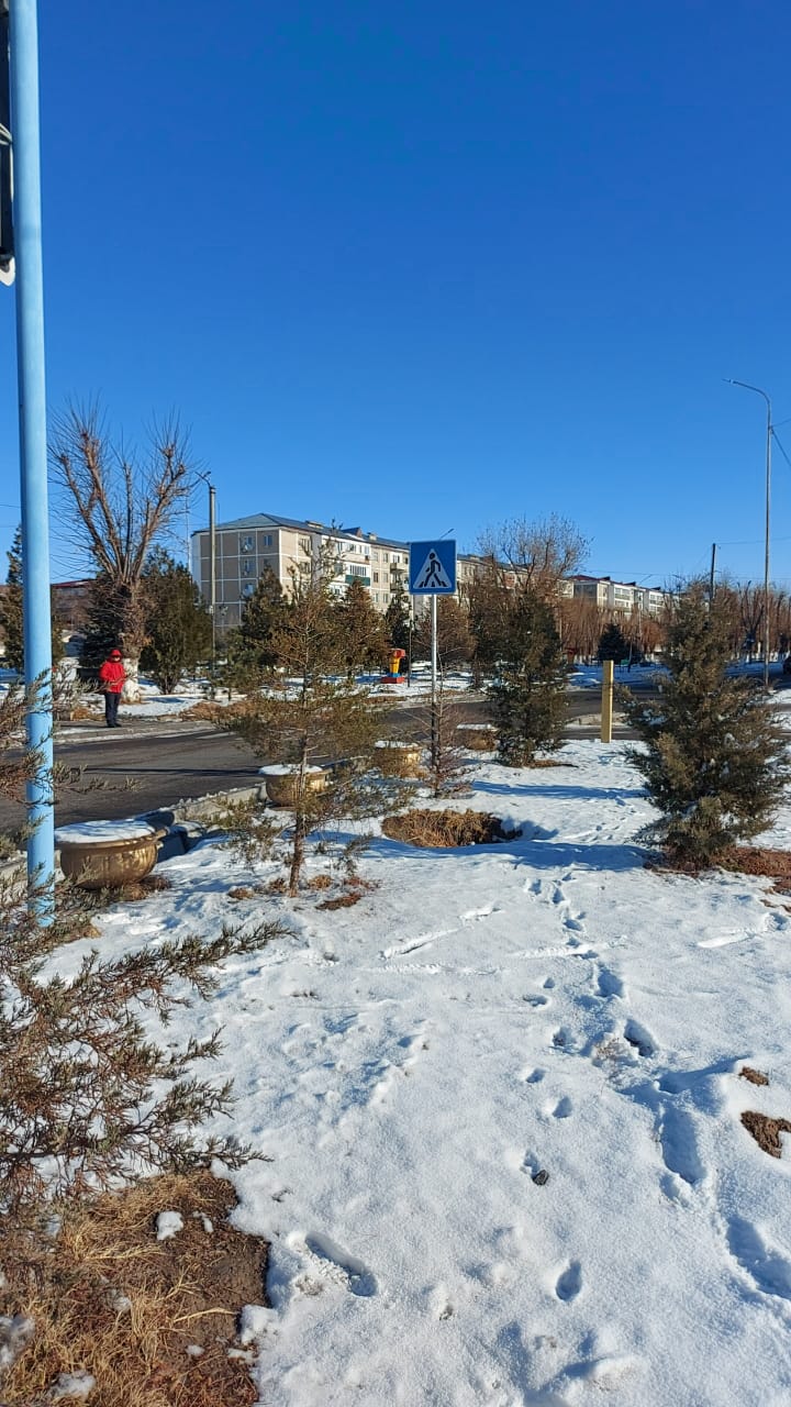 img-4