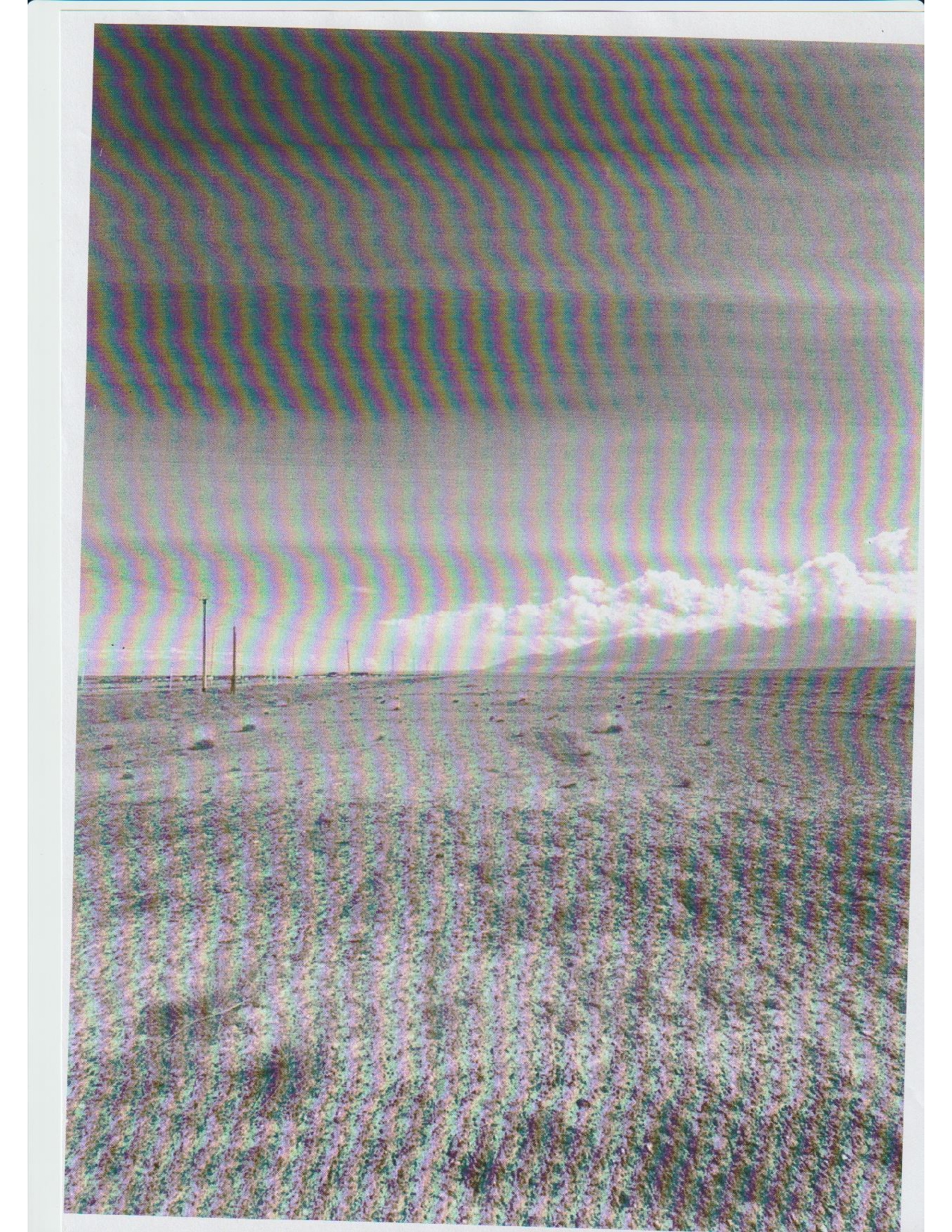 img-2