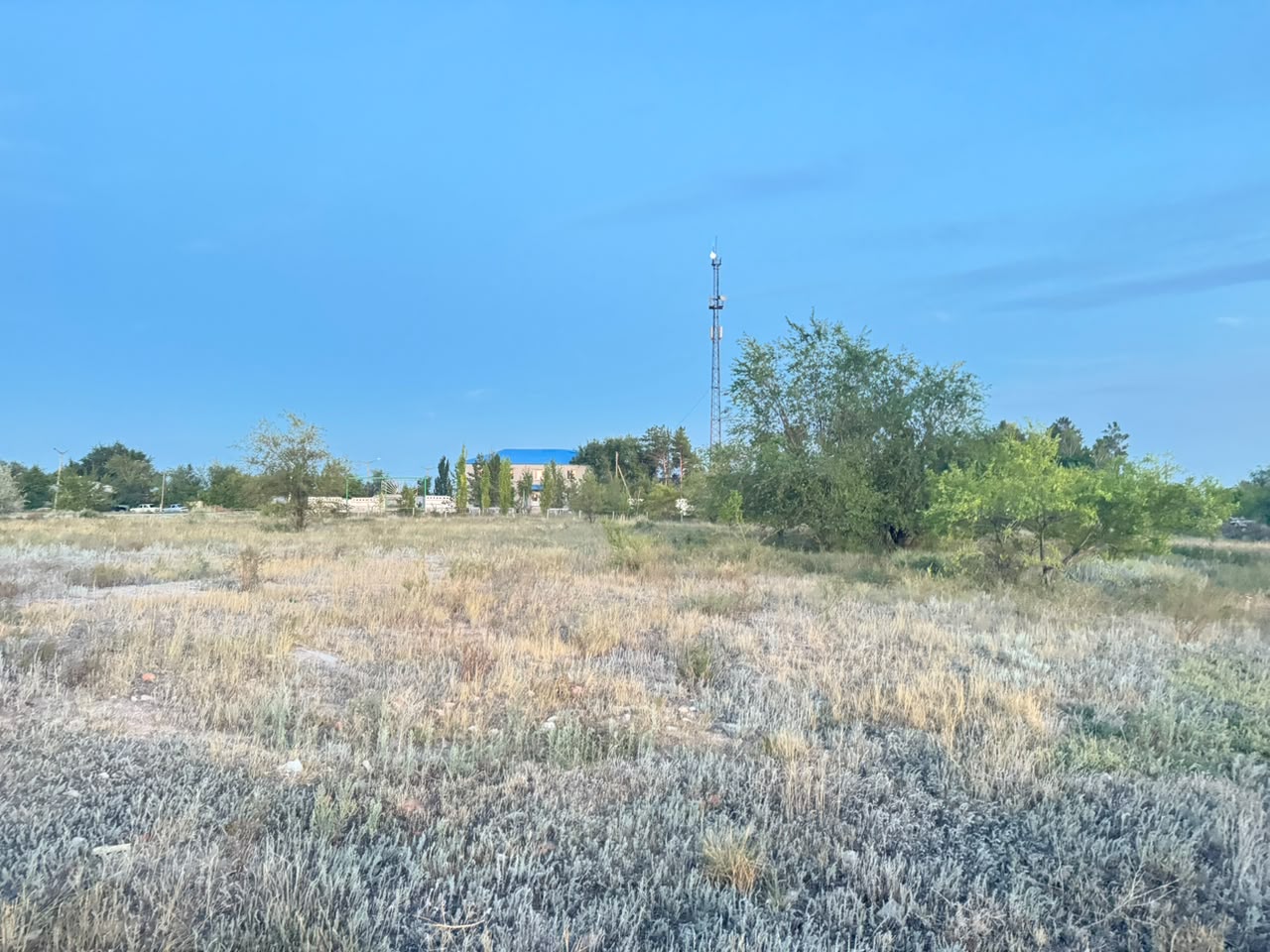 img-3