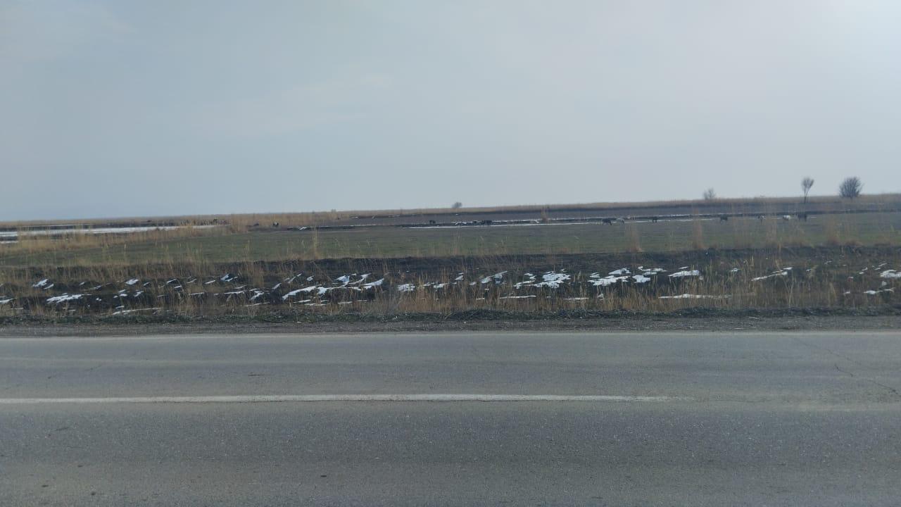 img-2