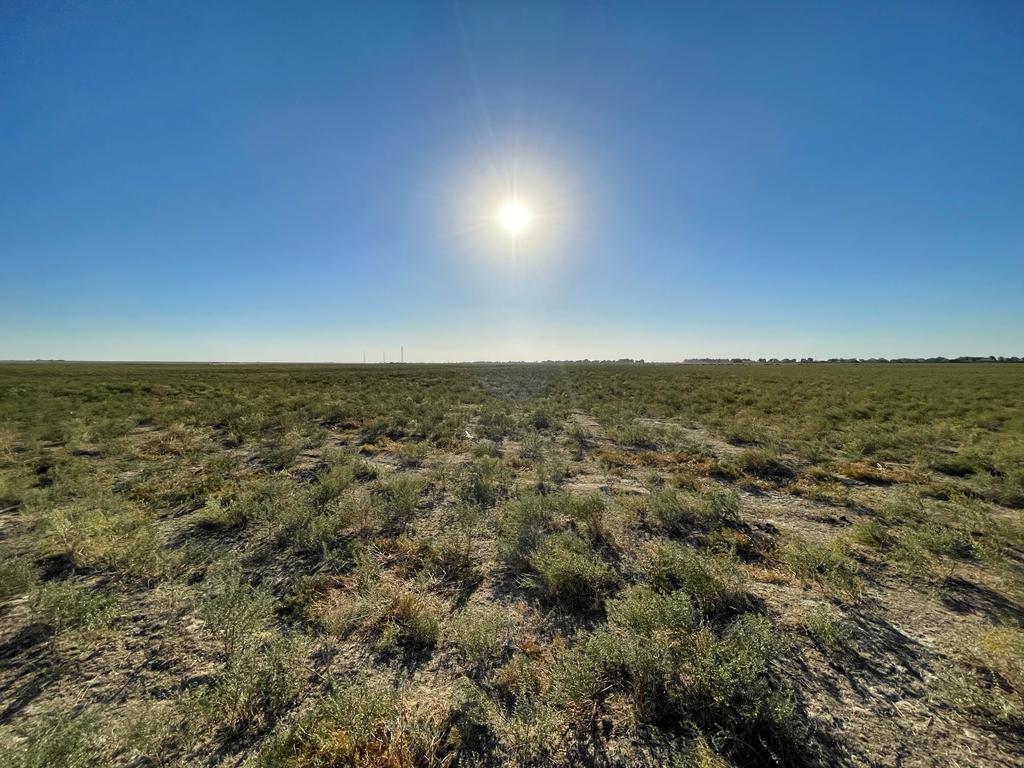 img-1