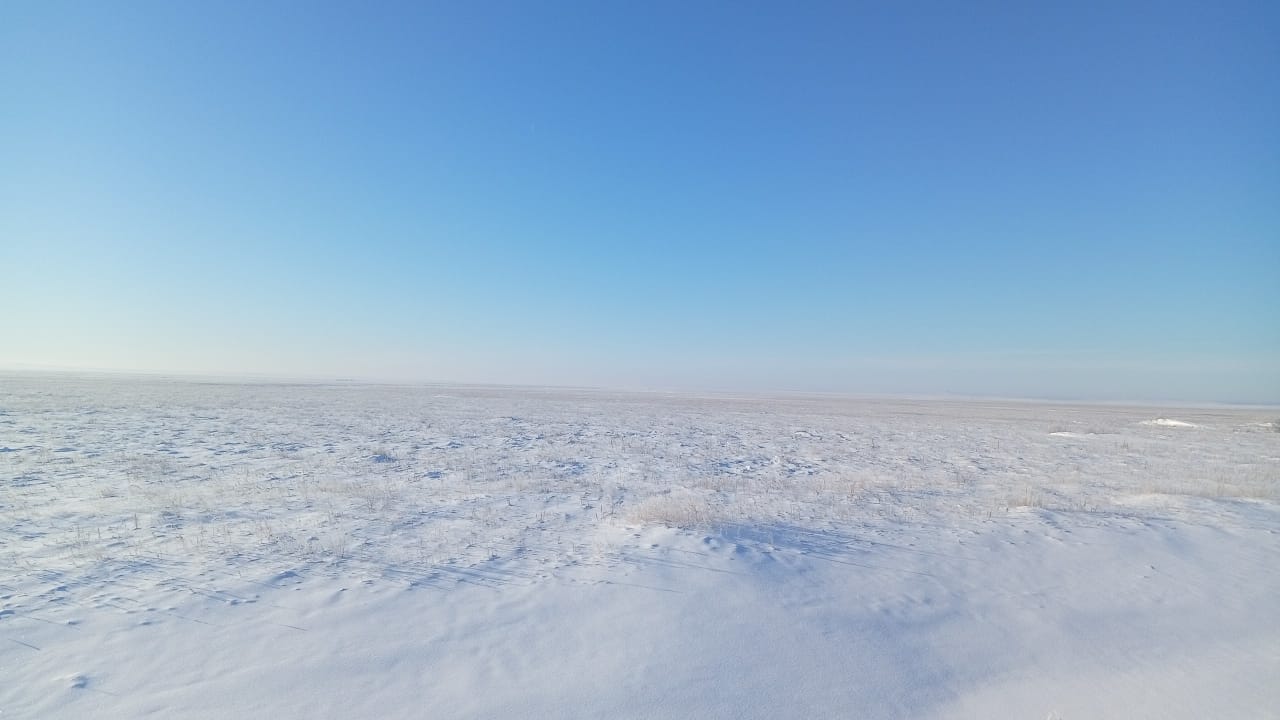 img-0