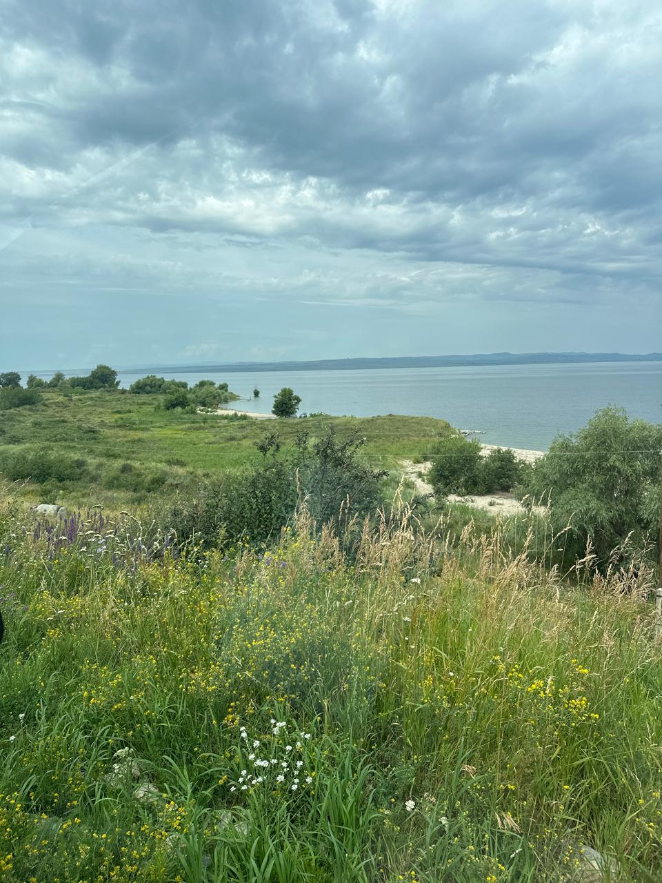 img-0