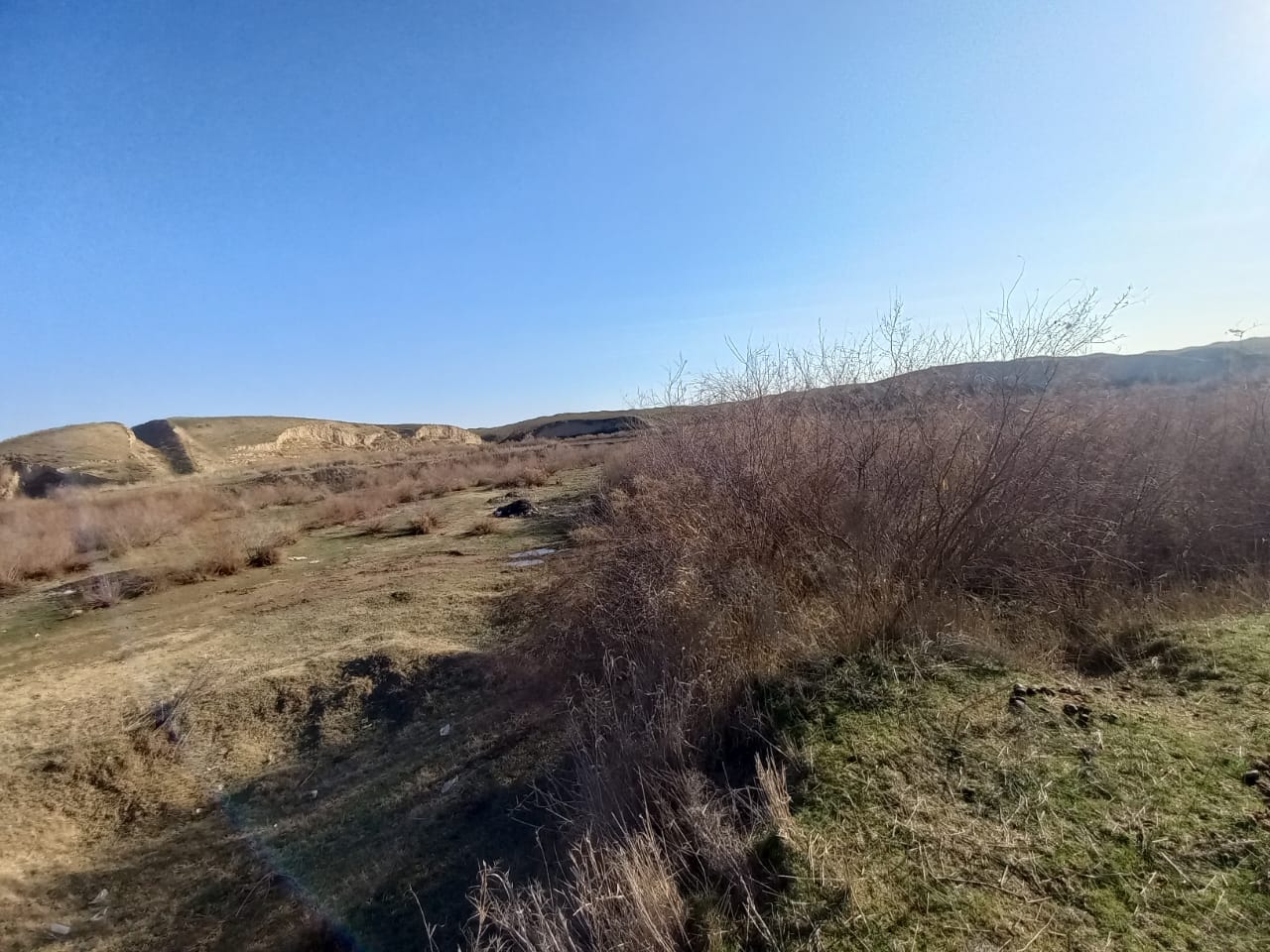 img-0
