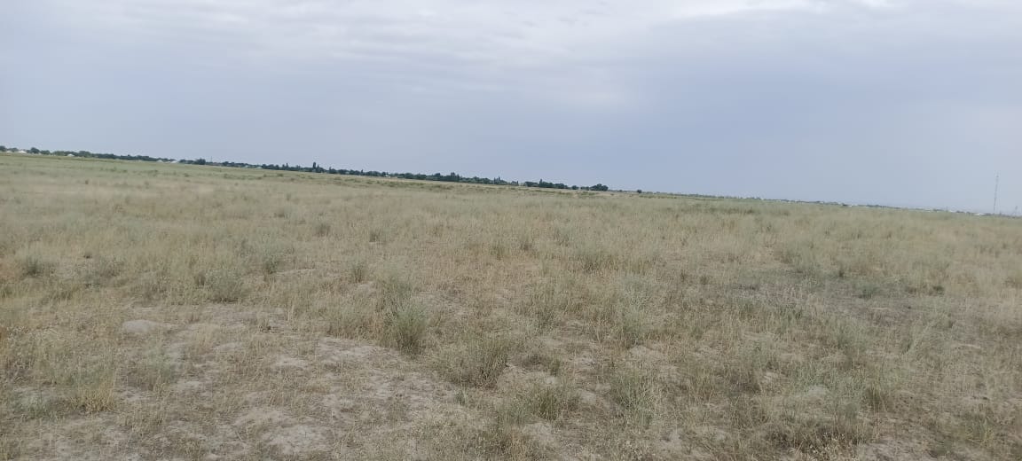 img-2