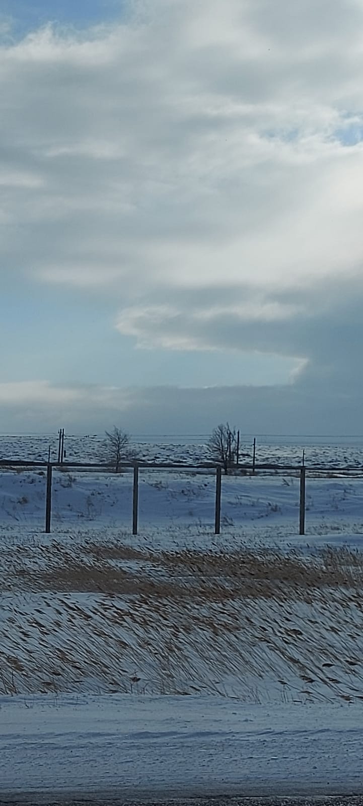 img-3