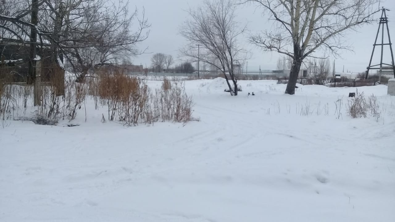 img-1