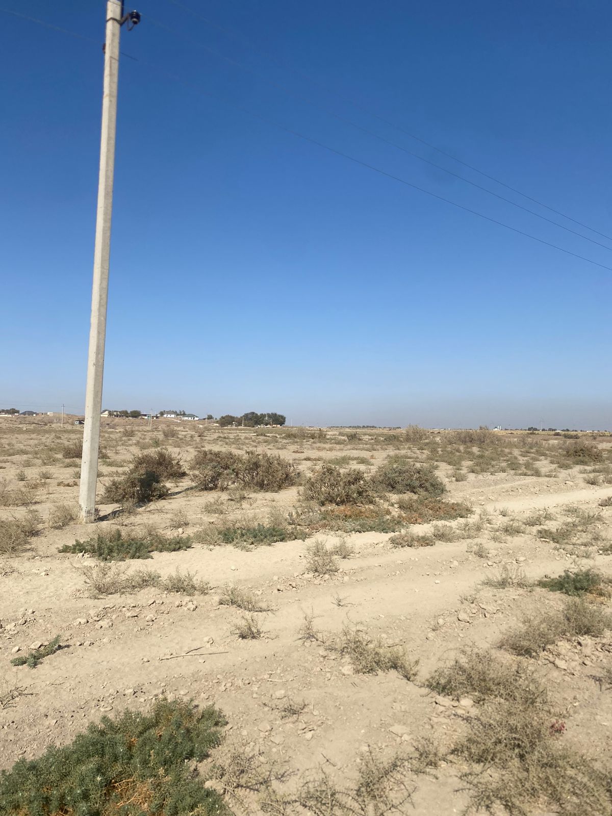 img-8