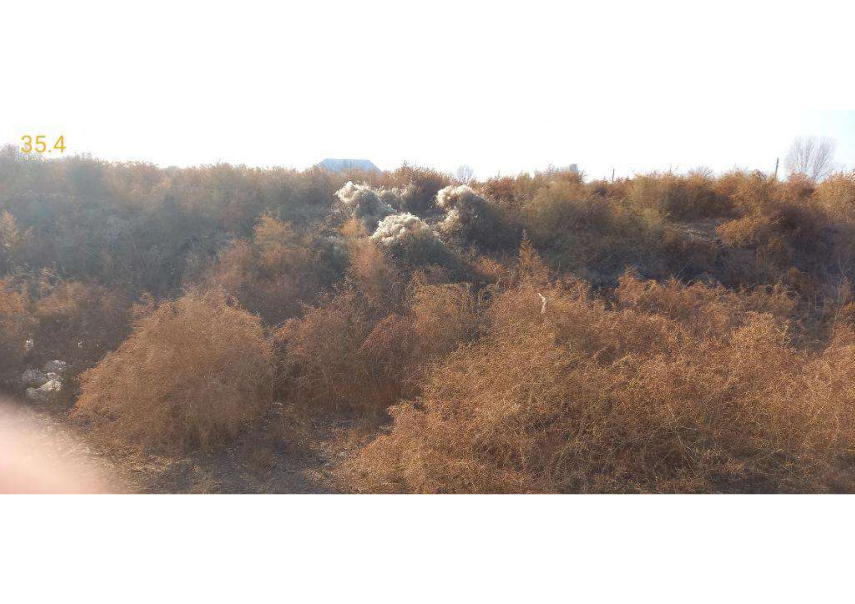 img-1