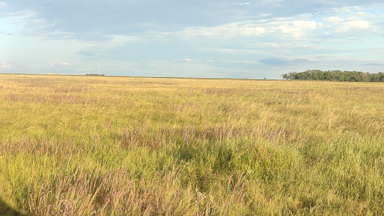 img-3