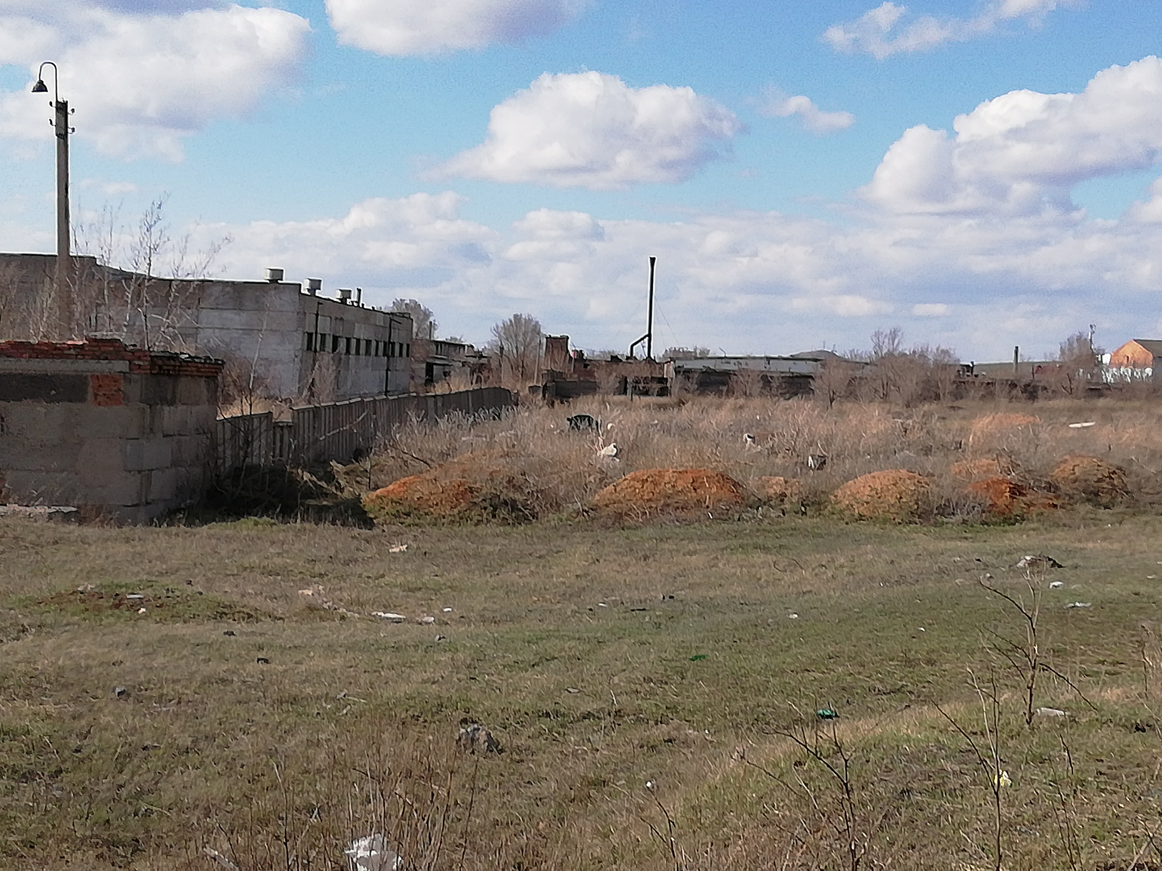 img-2