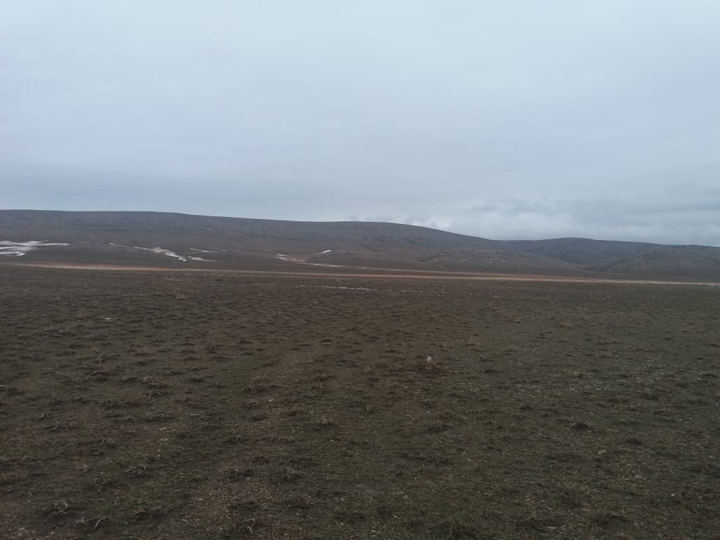 img-3