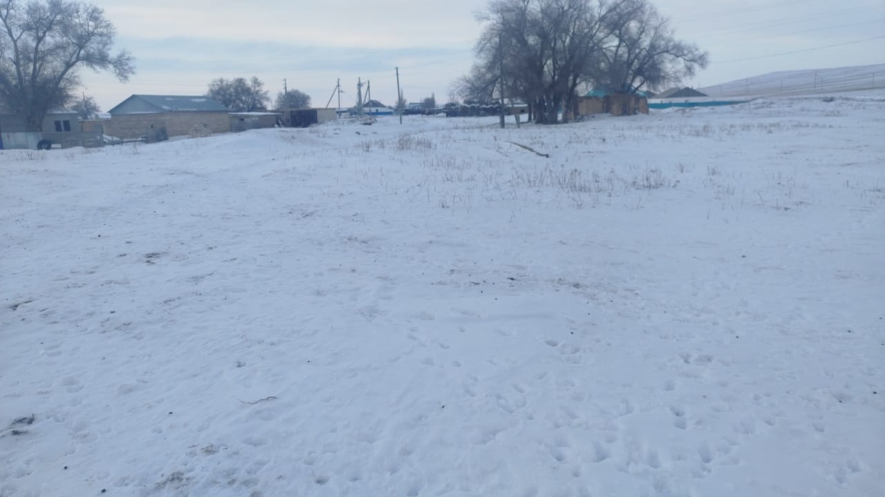 img-2
