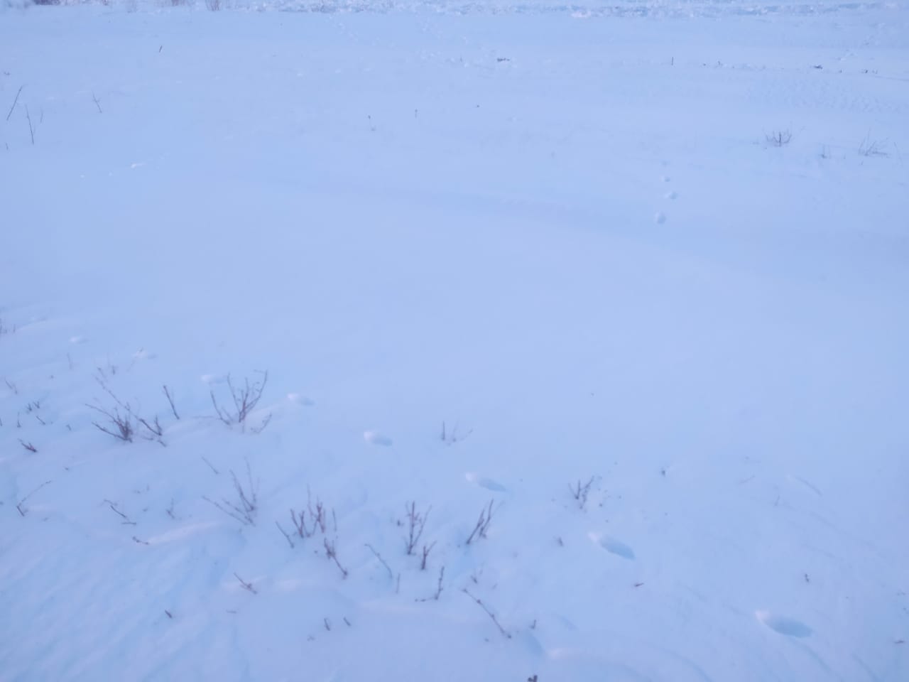 img-2