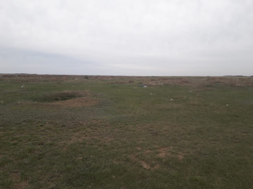 img-2