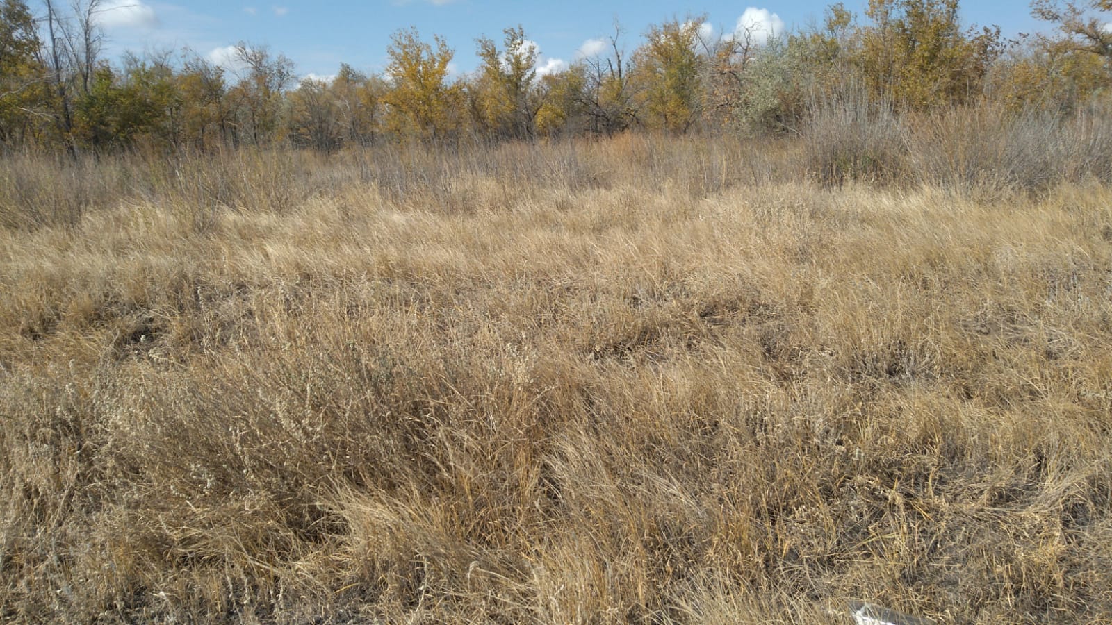 img-4