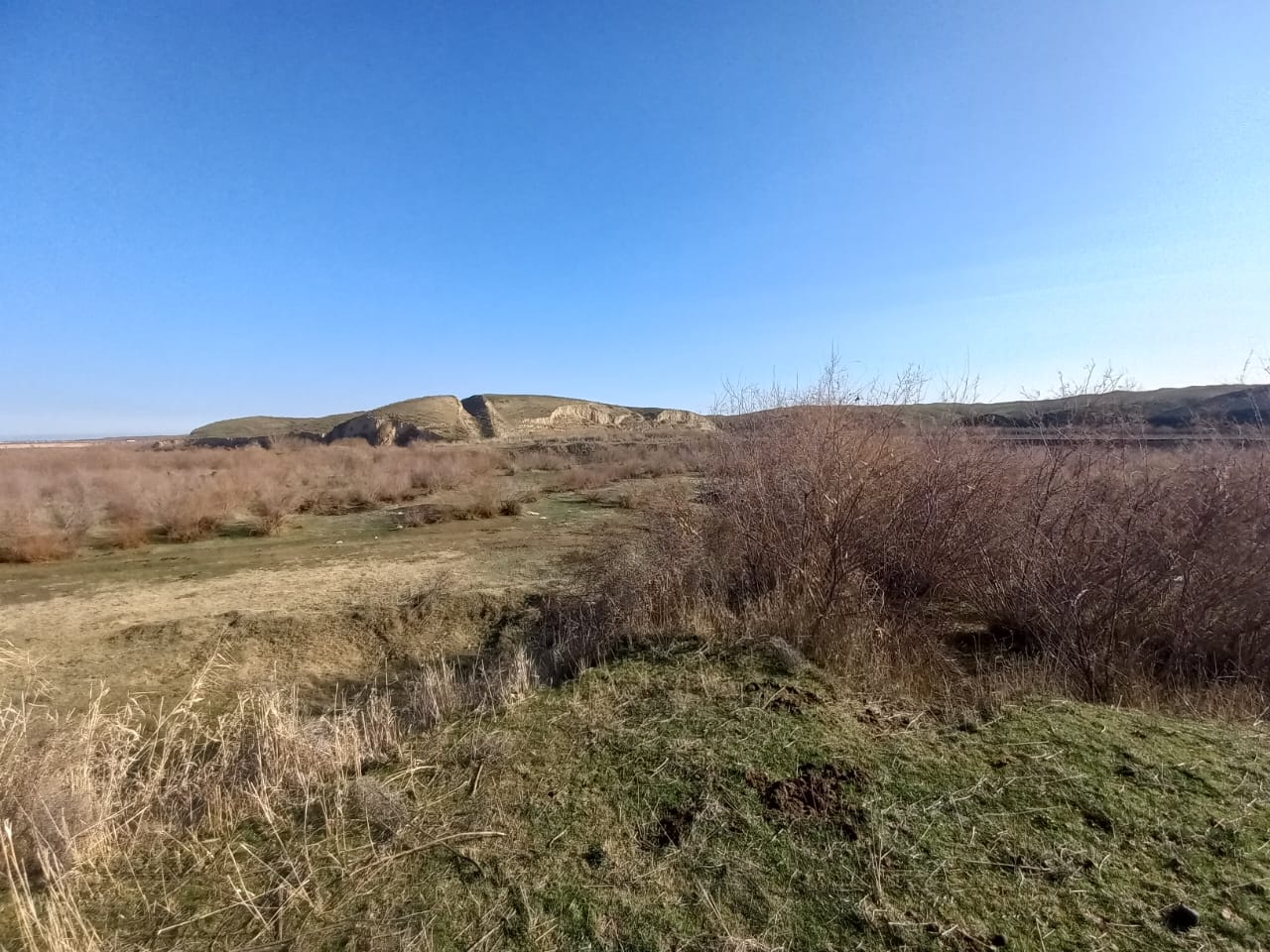 img-1
