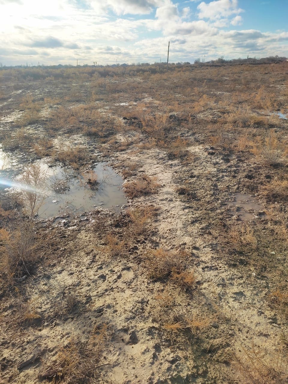 img-4