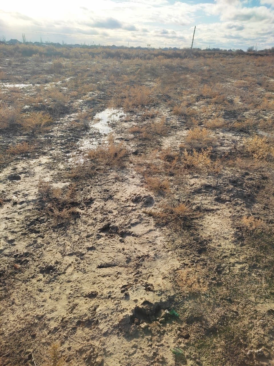 img-3