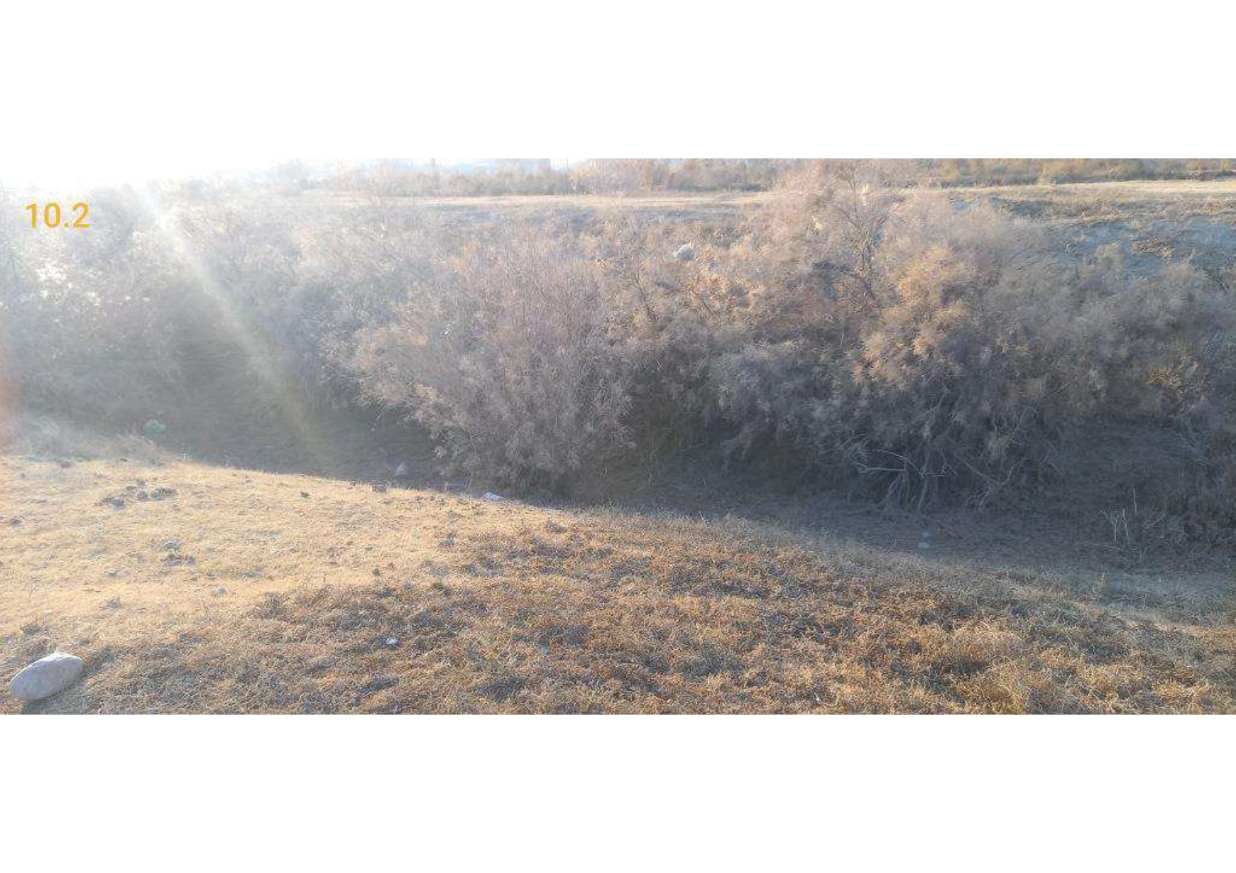 img-0