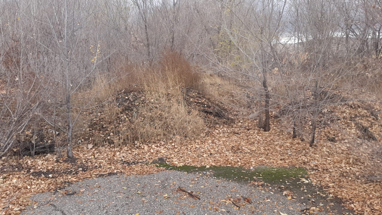 img-4