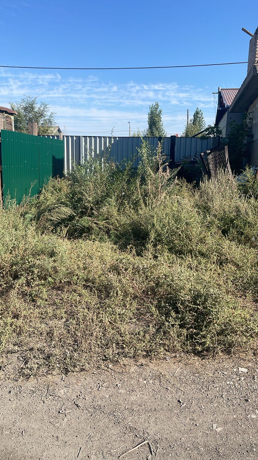 img-1
