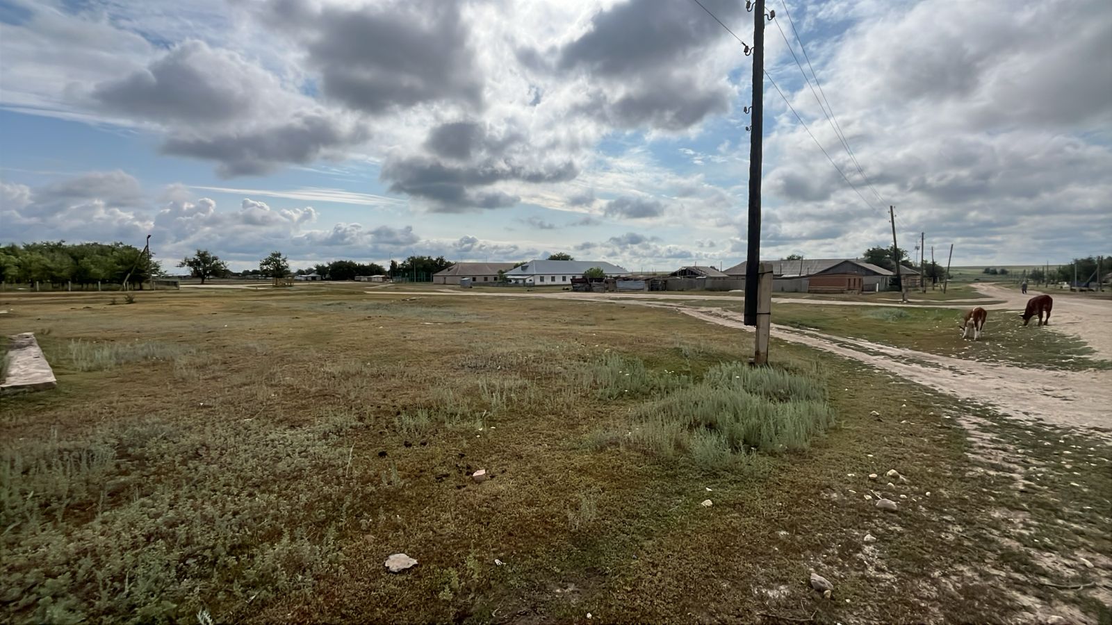 img-3