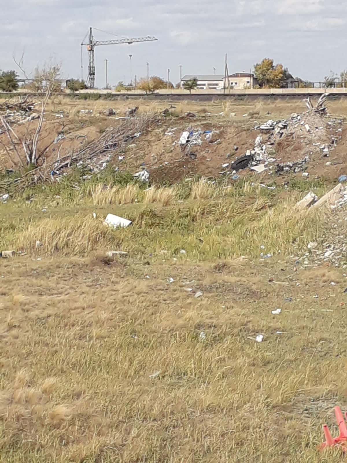 img-4