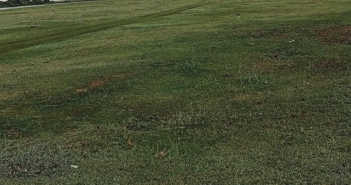 img-2