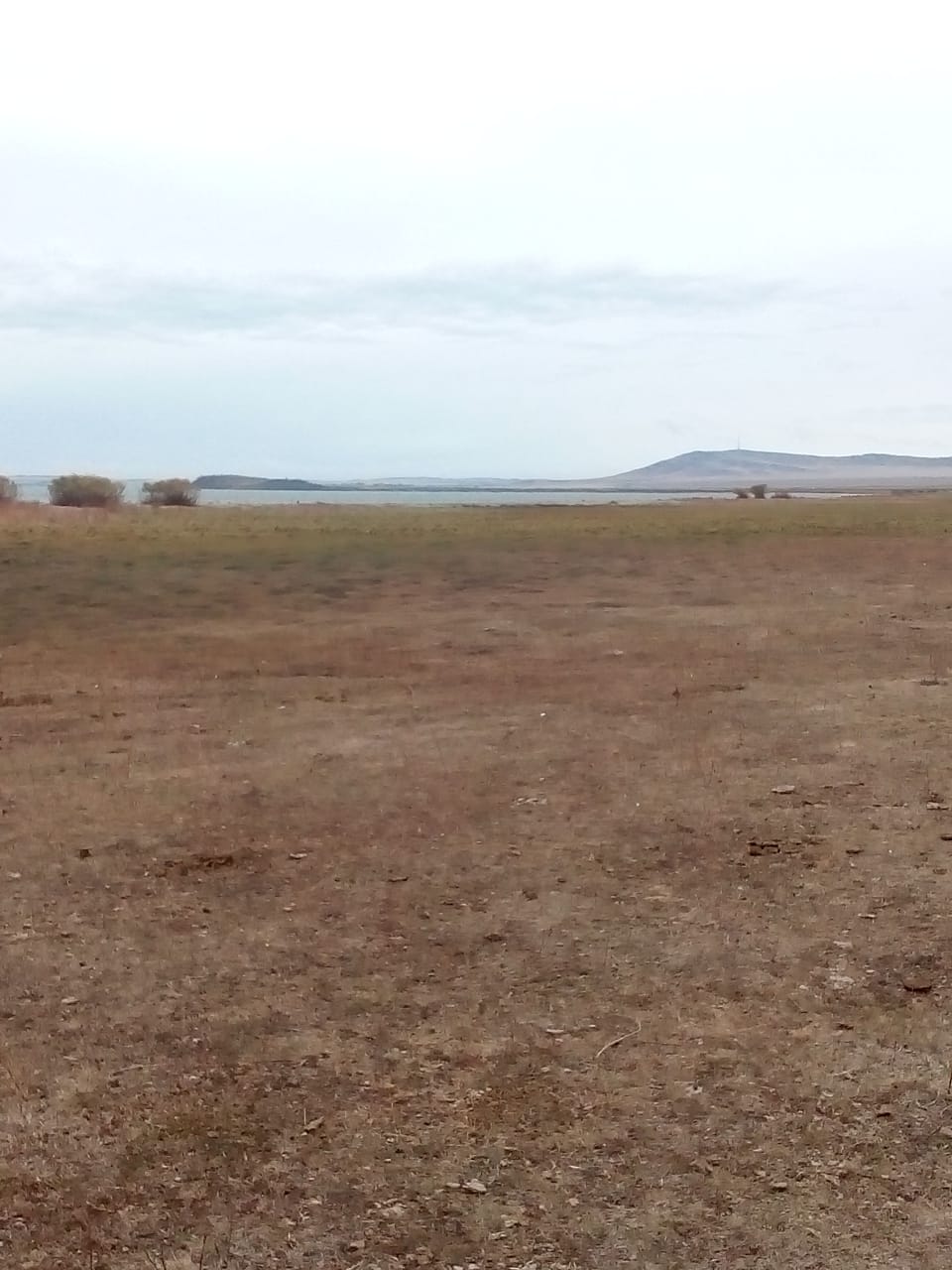img-2