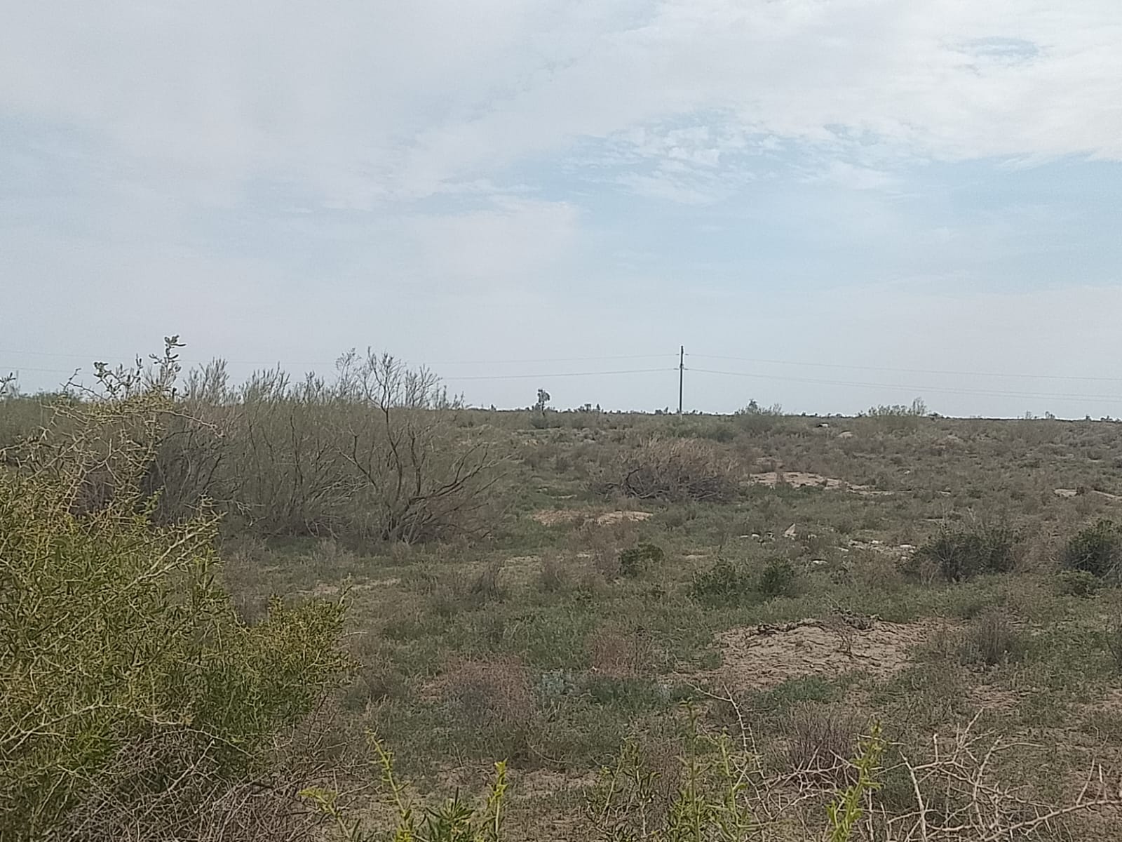 img-2