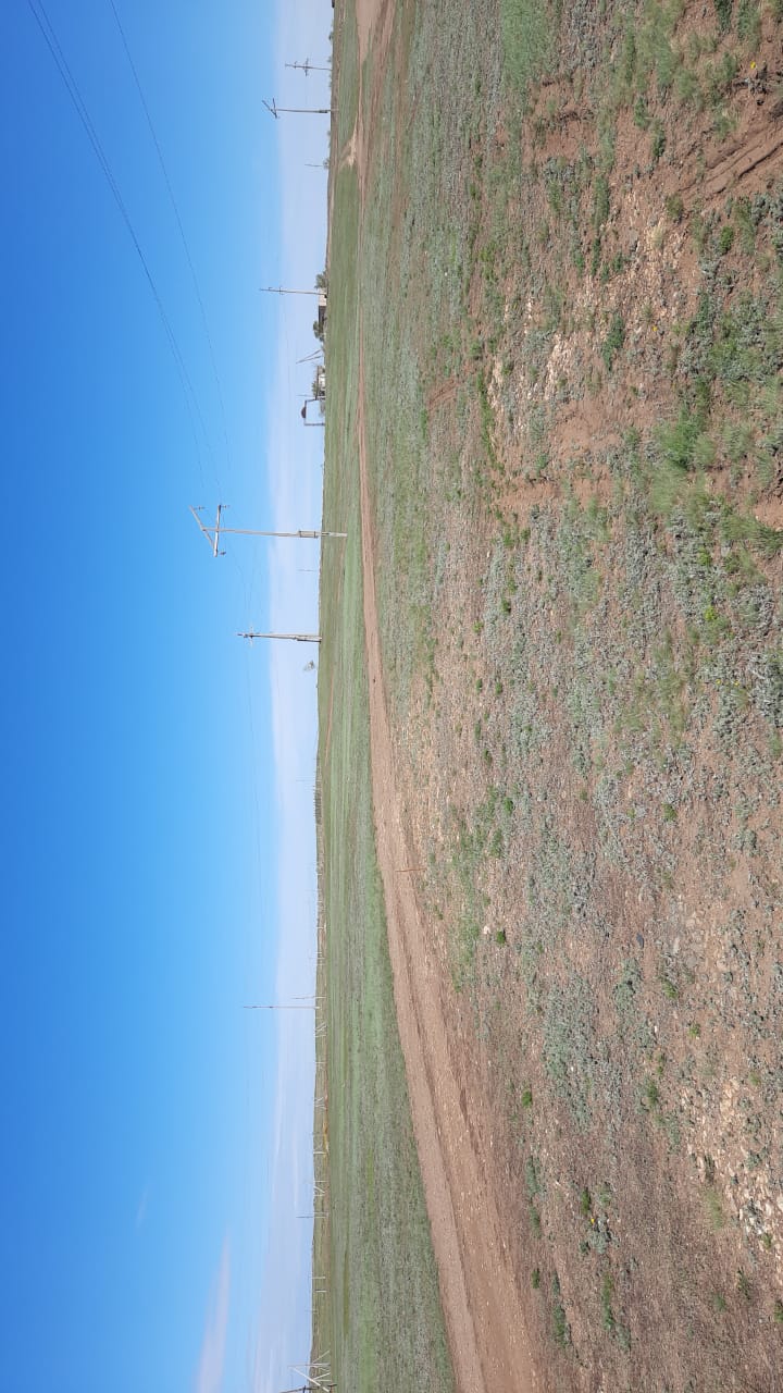 img-1