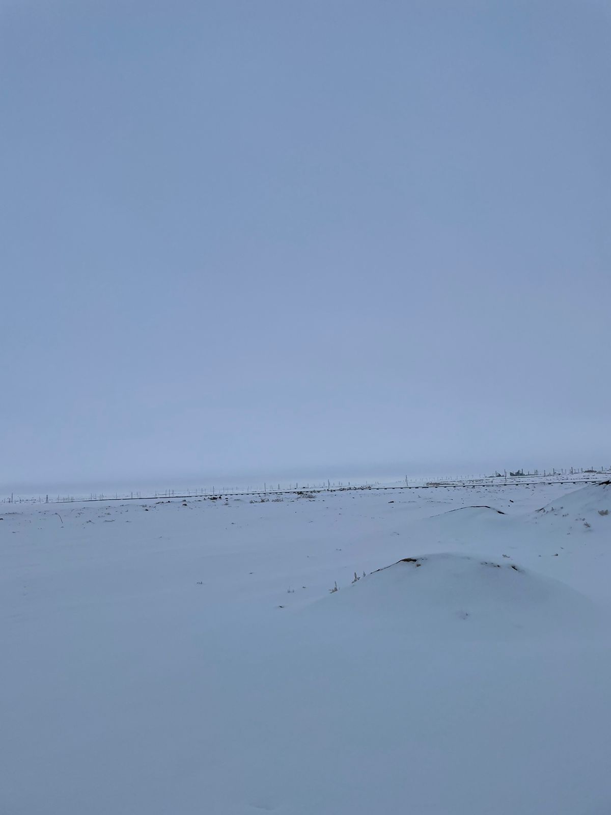 img-0